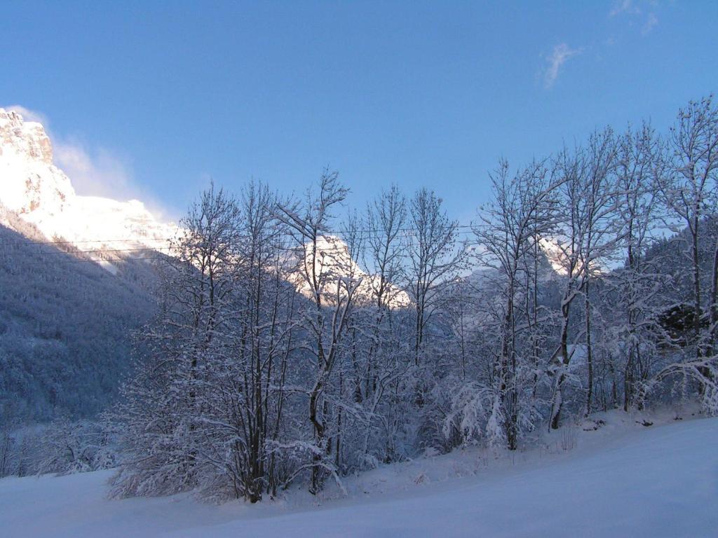 Chalet Narcisse Sixt-Fer-a-Cheval Room photo